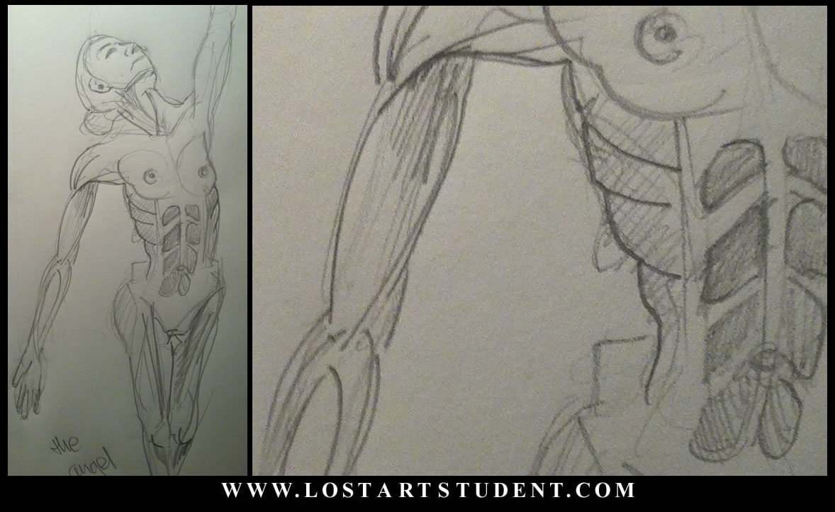 art-drawing-student-education-pencil-sketches